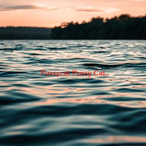 Pussycat (Pussy Cat) (Complete version originally performed by Wyclef Jean feat. Tom Jones)