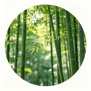 春色满园