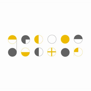 ネコンダクター