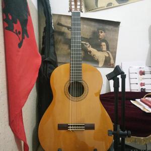 我的朋友在路上