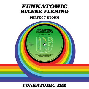 Perfect Storm (Funkatomic Mix)
