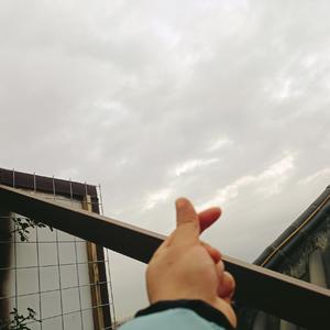 我把真心给了你