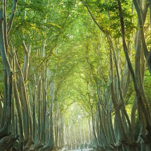 古风幻想之燃爆时刻