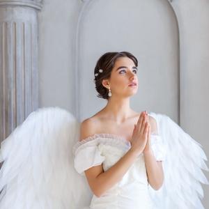 白鸽乌鸦相爱的戏码