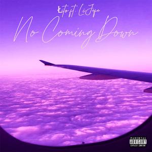 No Coming Down (feat. Li Jefe)