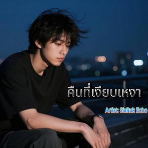 คืนที่เงียบเหงา