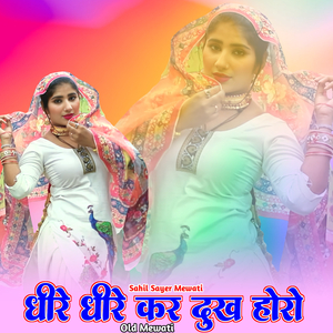 धीरे धीरे कर दुख होरो ओल्ड मेवाती