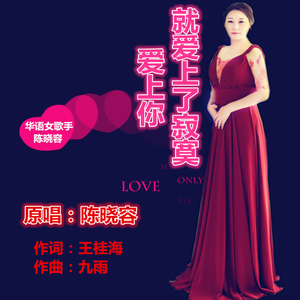 爱上你就爱上寂寞