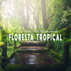 Som de Fundo para Relaxamento: Floresta Tropical, Pt. 21
