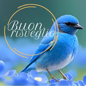 Iniziare la Giornata