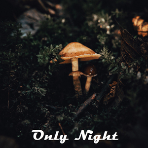 Only Night