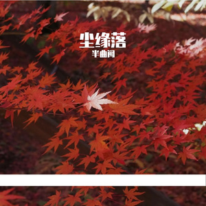 尘缘落