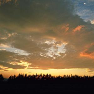 她妈妈不喜欢我