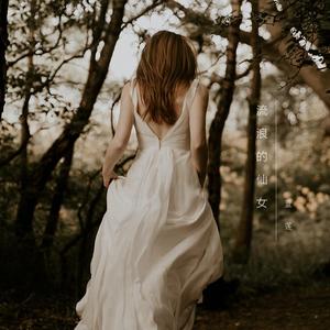 流浪的仙女 (提琴版) 伴奏