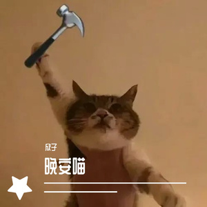 晚安喵