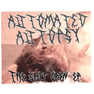 autopsy in the attic