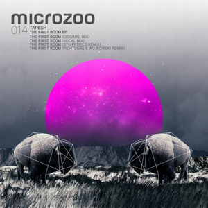 The First Room (Richtberg & Wojkowski Remix)