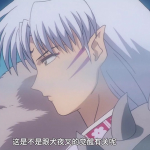 犬妖殺生丸（原声混搭）