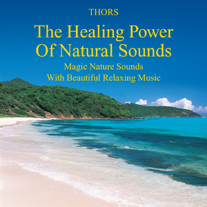 Swimming with the Dolphins