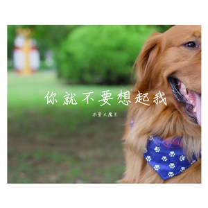 你就不要想起我