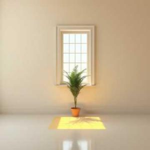 The Unplayed Vinyl Records