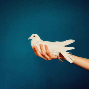 Nouveau Départ, Pt.2