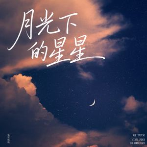 月光下的星星