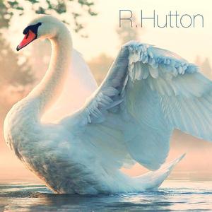 Le carnaval des animaux, R. 125: XIII, Le cygne (Solo Violin)