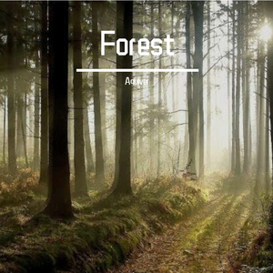 我来开路-Forest（我自己remix哈哈）（我来开路 remix）