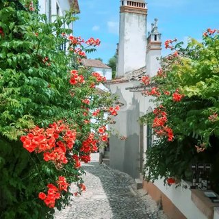 『西语』来自热情奔放国度的情书