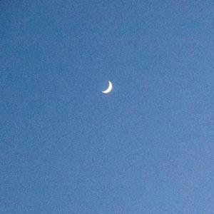 爱上你是一个错