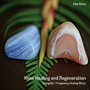 Knee Healing and Regeneration
