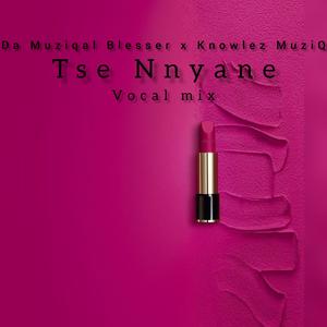 Tse Nnyane (feat. Knowlez MuziQ)