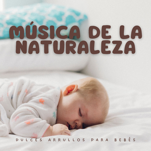 Serenata A La Luz De La Luna
