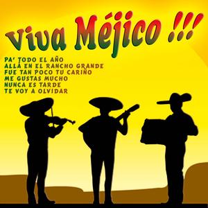 Fue Tan Poco Tu Cariño