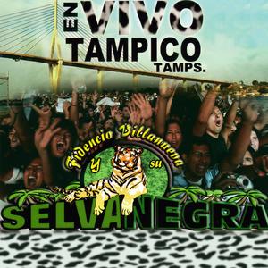 La Siembra (En vivo)