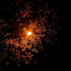 来不及说晚安-整曲