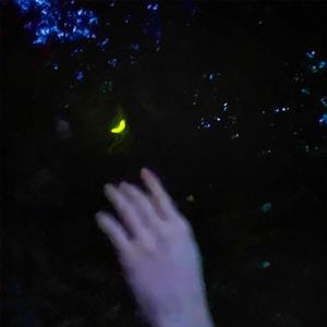 afterwards, drift away