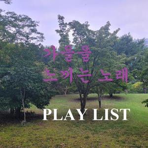 창가에 내리는 비