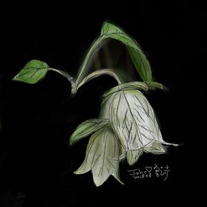 초롱꽃 전설 (종지기의 삶)