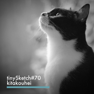 tinySketch #70