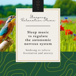 夜更けのバラード-小鳥のさえずり-