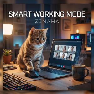SMART WORKING MODE