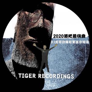 Various Artists-2020酒吧最嗨曲DJ虎哥劲爆超重低音摇滚（DJ Tiger remix）