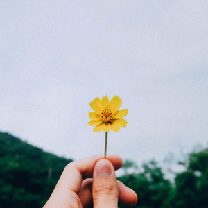 알고 있었어, 행복할 줄