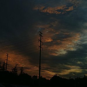 夕阳卧下红苇荡•半张废纸…