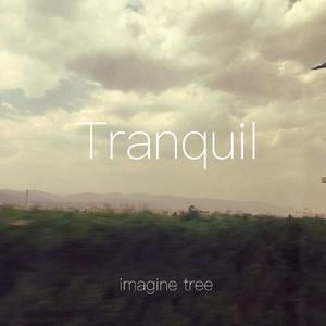 Tranquil（宁静）