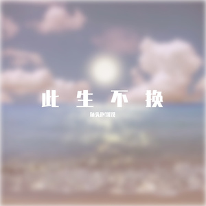 此生不换