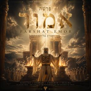 The Blemished Priest (Sheni)