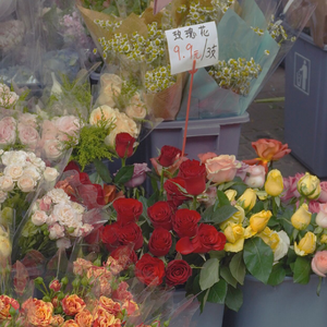 云隙阳光（贰）